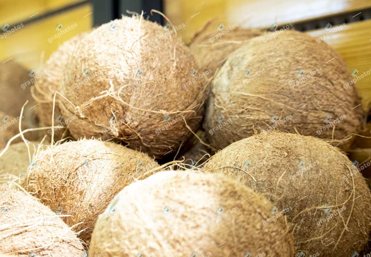 Pile of Fresh Coconuts in Market